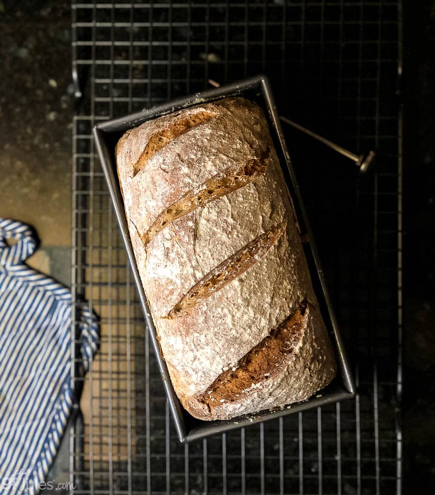 gluten free sourdough overhead V with thermometer