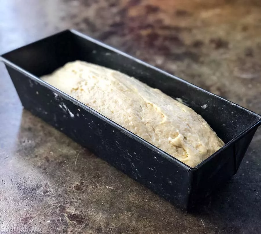 gluten free sourdough risen in pullman pan