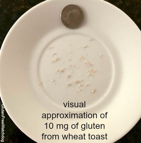 10mg gluten crumbs