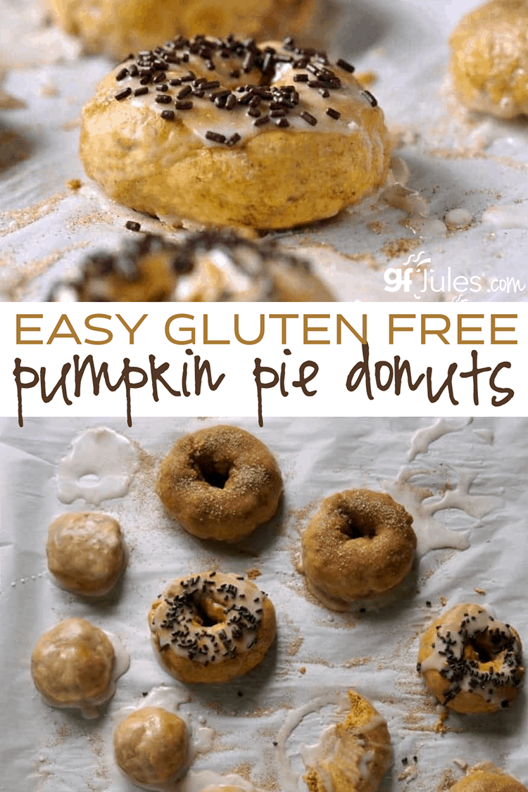 Gluten Free Pumpkin Pie Donut Recipe