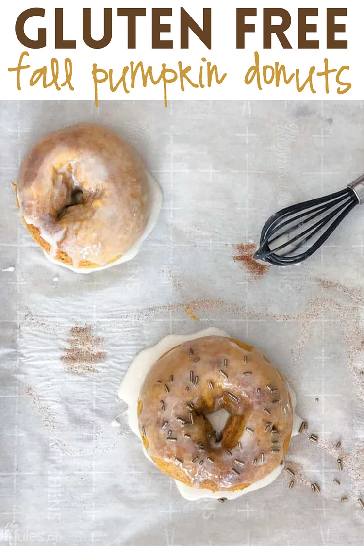 Gluten Free Pumpkin Pie Donut Recipe