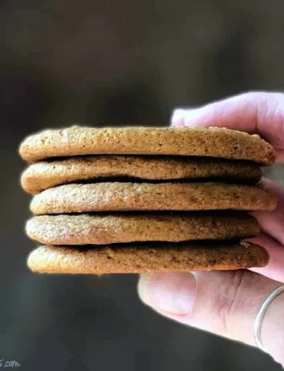 gluten free gingersnaps stack