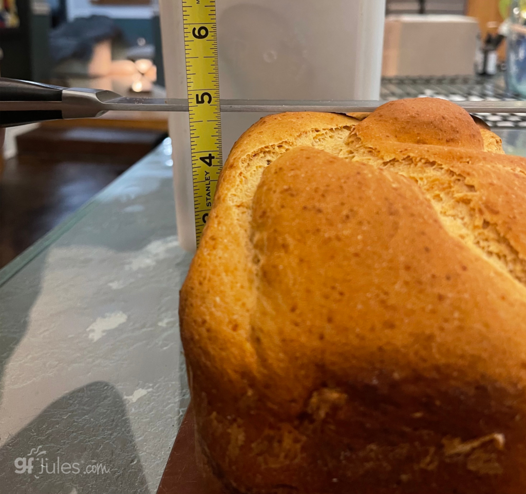 Hamilton Beach Dough and Bread Maker: Pros and Cons for Gluten-Free Baking  - Delishably