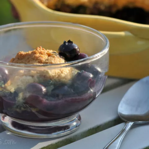 gluten free blueberry cobbler CU