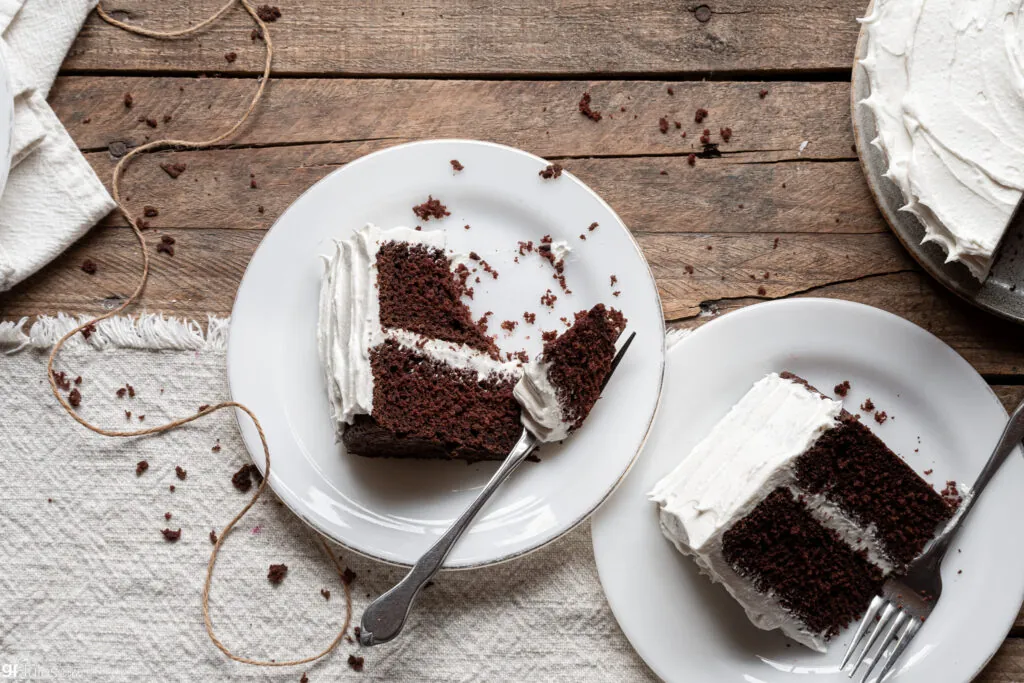 Best Gluten Free Chocolate Cake with bite