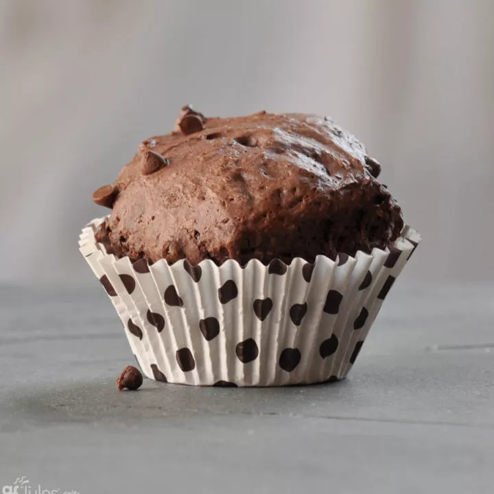 gluten free chocolate chocolate chip muffin _ gfJules