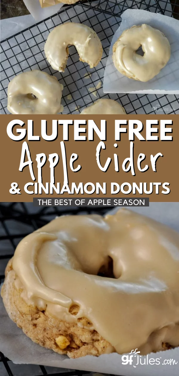 Gluten Free Apple Cider and Cinnamon Donuts