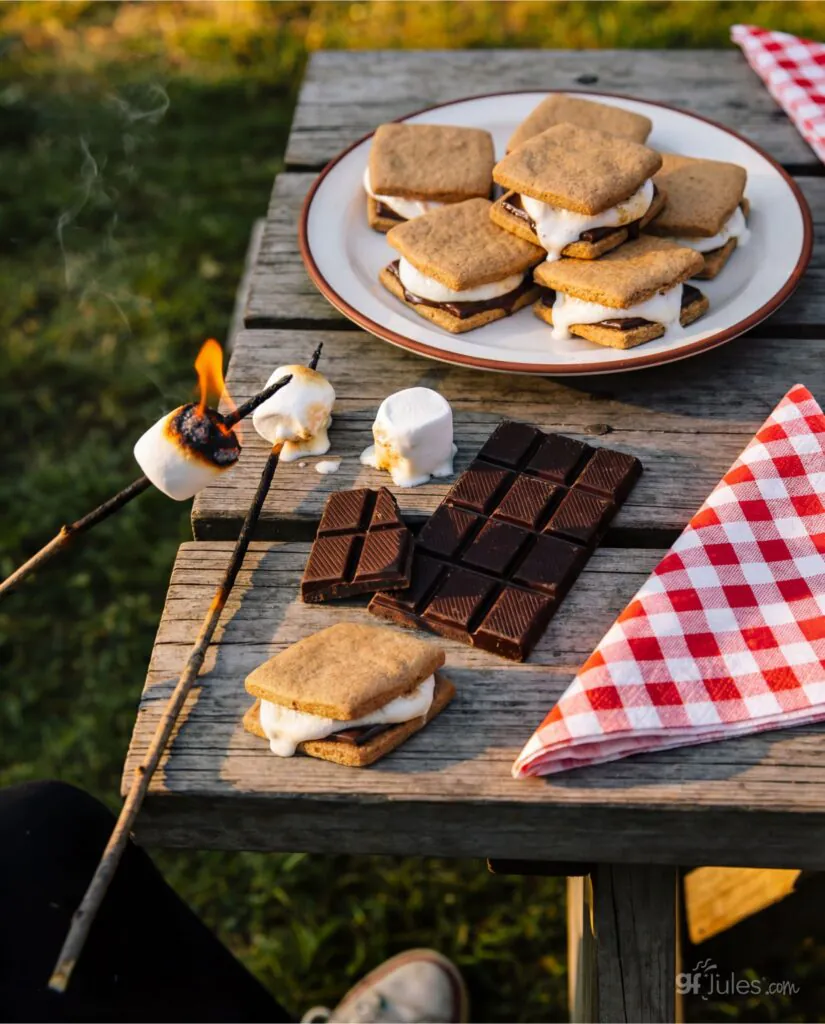gluten free s'mores at picnic