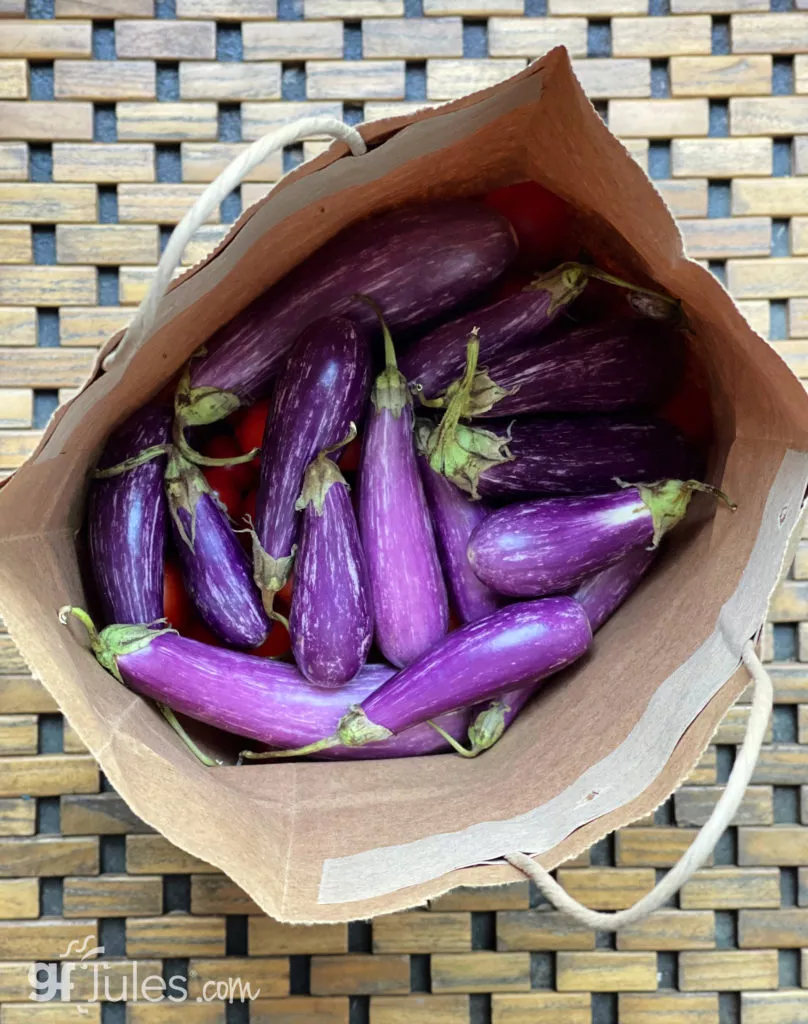 eggplant |gfJules