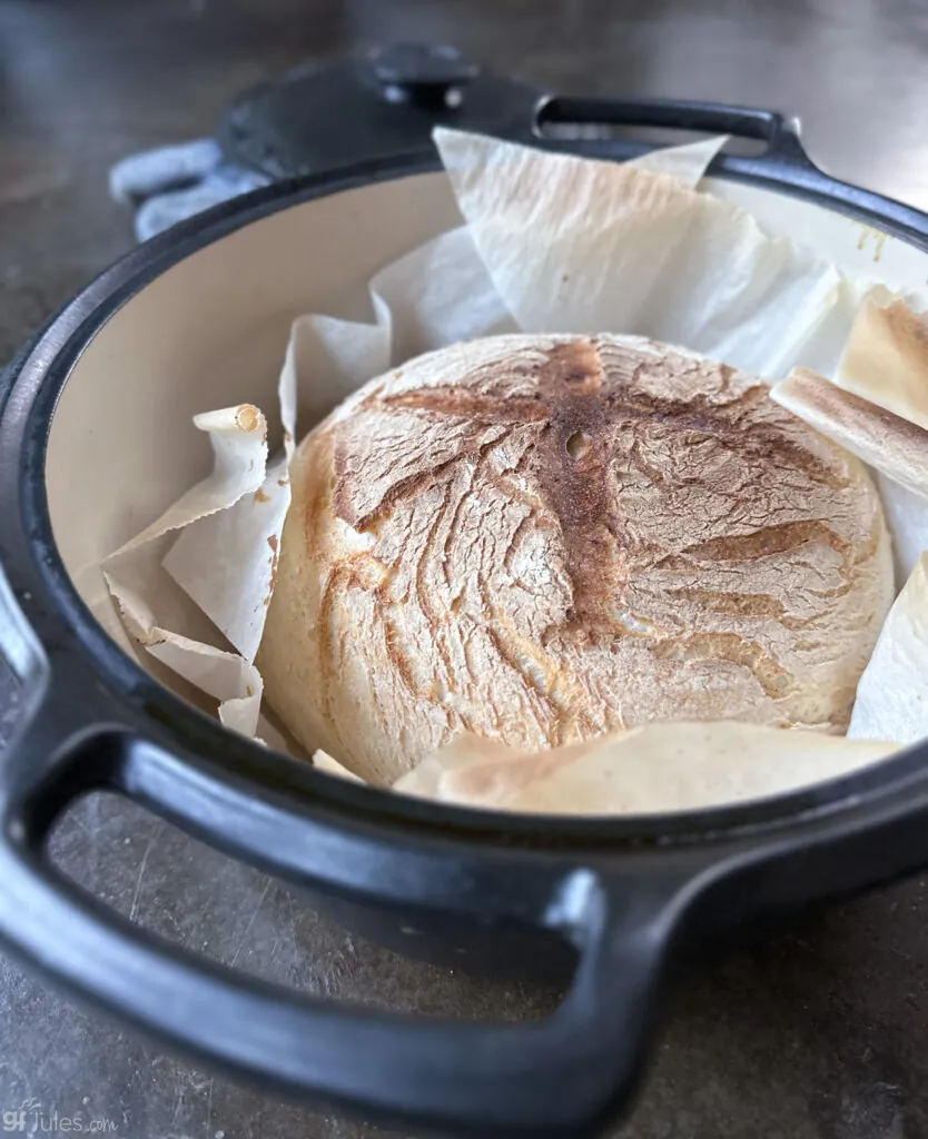 Gluten Free Sourdough in Dutch Oven