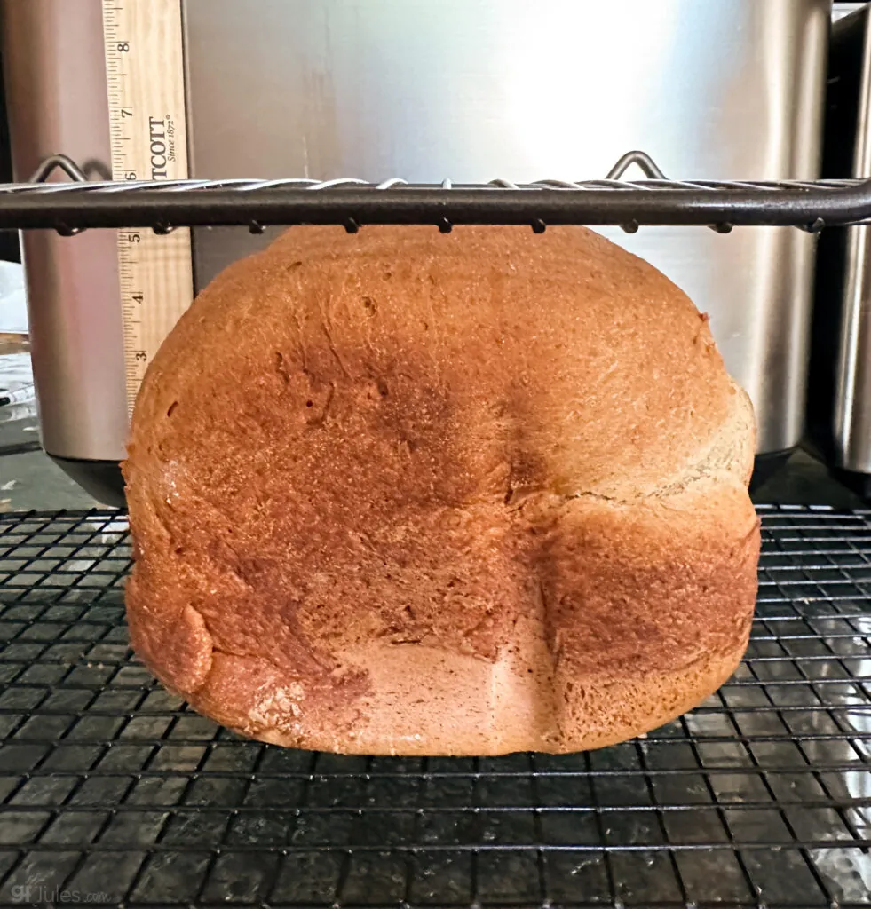 Bread machine testing -Panasonic 13-2
