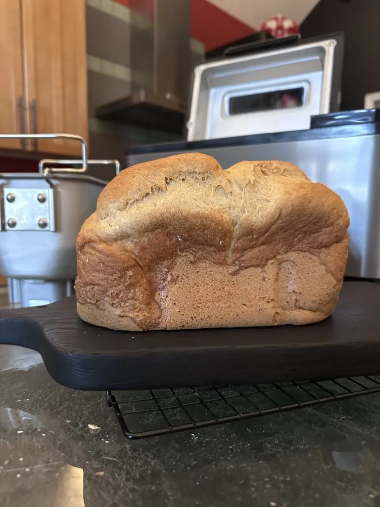 zojirushi bread with jules mix