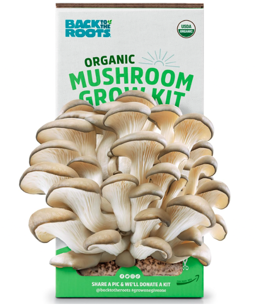 Organic Mushroom Grow Kit