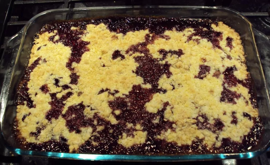 berry cobbler with multigrain nora brine