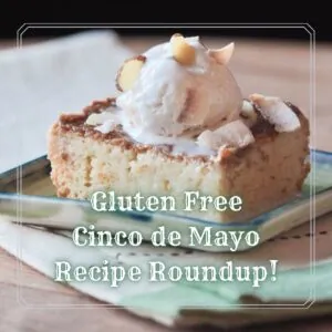 Gluten Free Cinco de Mayo Recipe roundup
