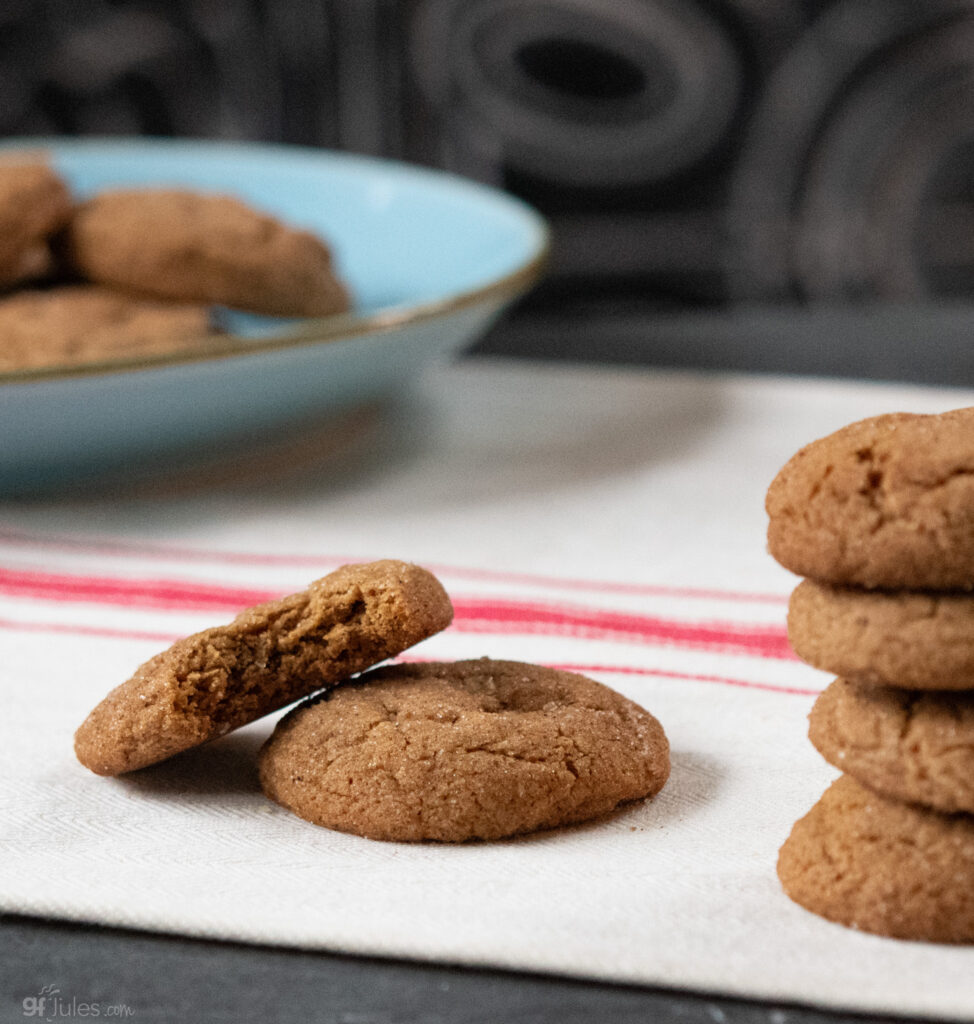 Gluten Free Gingerdoodles with bite