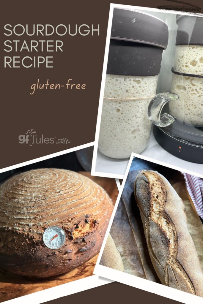 gluten free sourdough starter recipe | gfJules