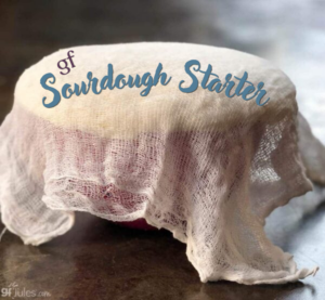 GF Sourdough Starter