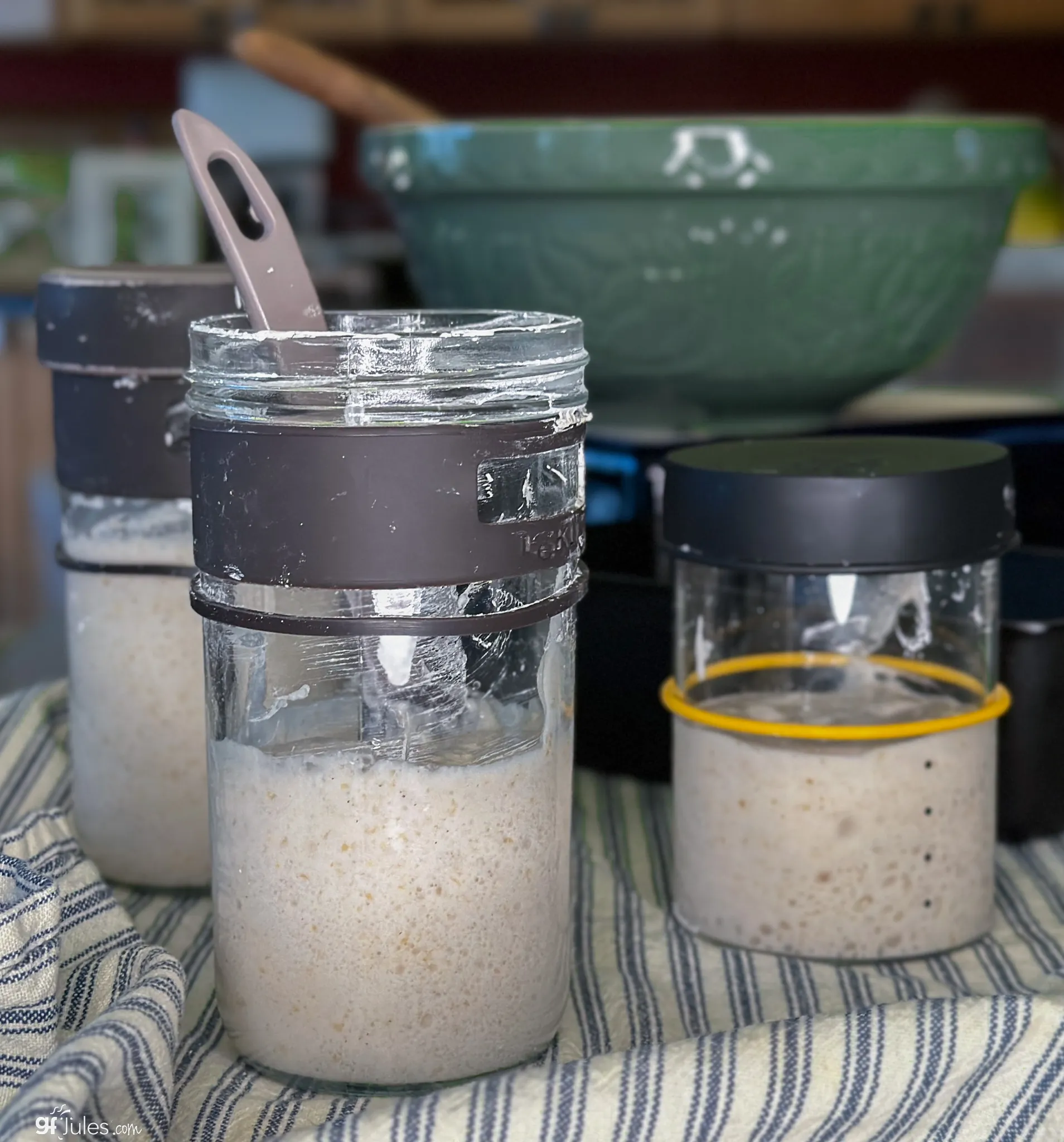 Gluten Free Sourdough Starter Recipe 1 Gluten Free Recipes GfJules gluten-free-sourdough-starter-recipe-1-gluten-free-recipes-gfjules