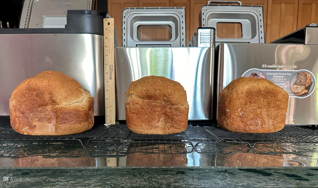 Comparison of 3 bread machines baking the same gfJules Gluten Free Bread Mix.