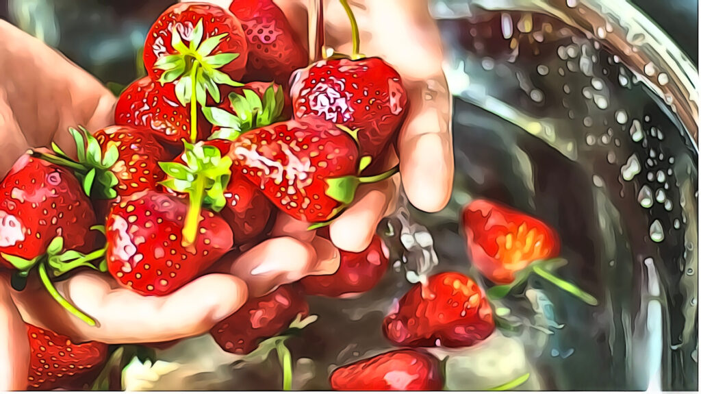 wash your berries in vinegar and water