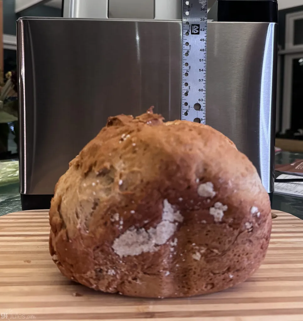 Vevor alt bread test