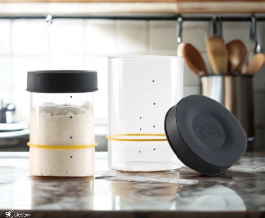 Sourhouse Starter Jars