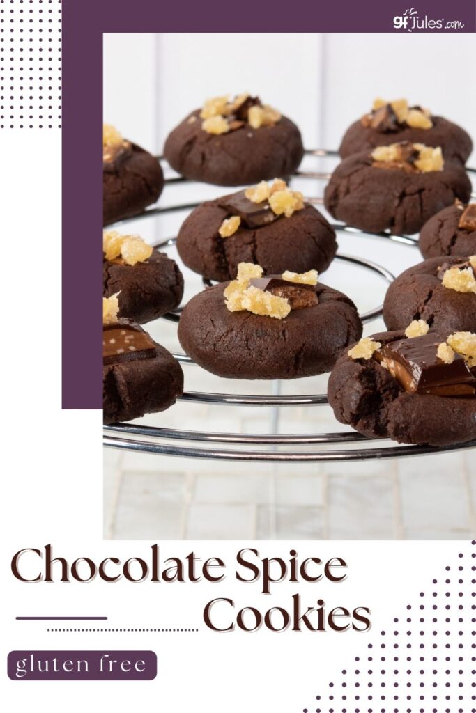 Gluten Free Chocolate Spice Cookies | gfJules