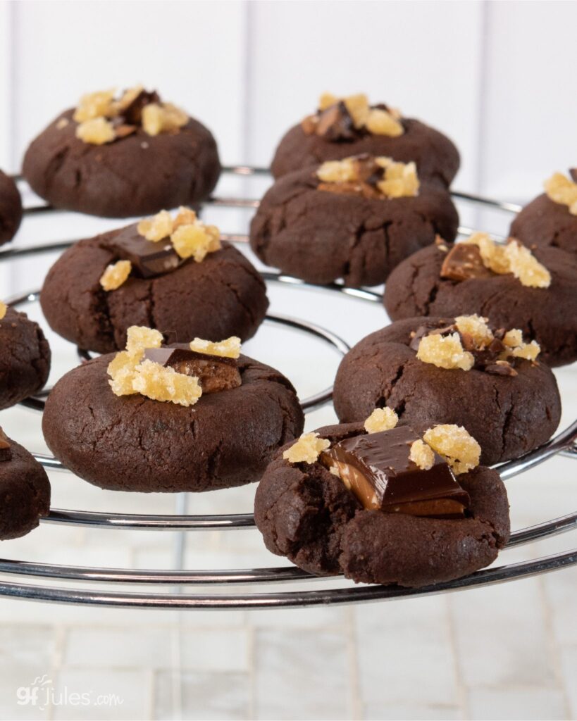 Gluten Free Chocolate Spice Cookies V