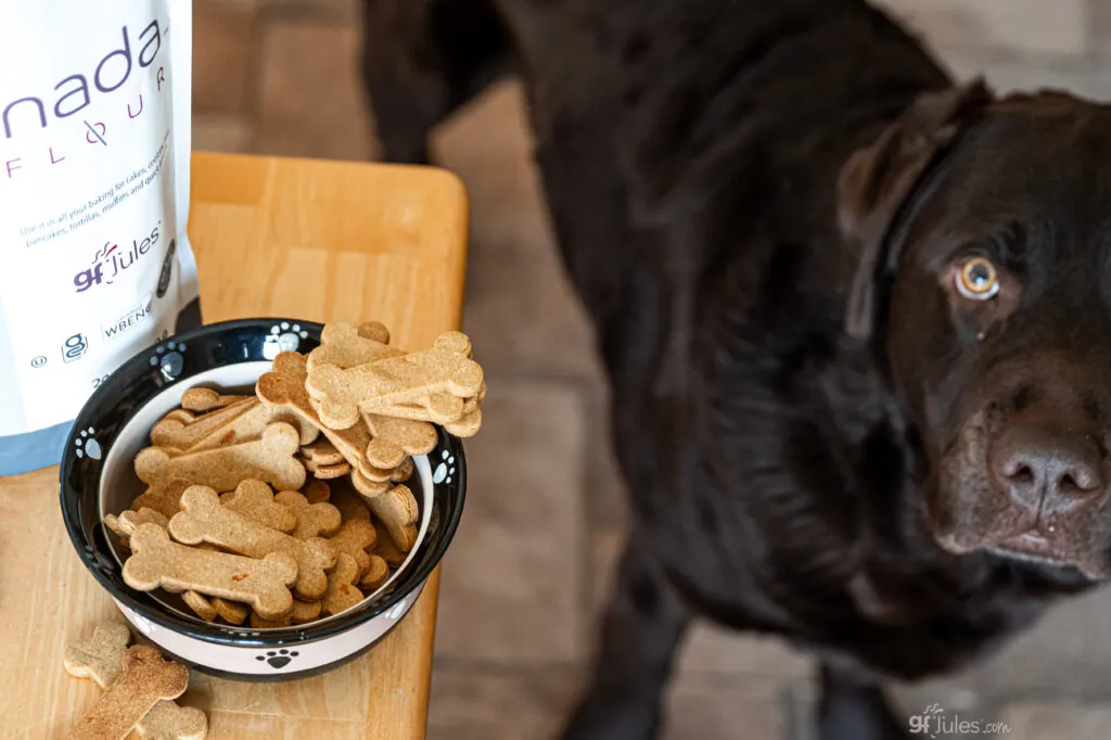 Grain Free Dog Treats with Nada Flour and dog