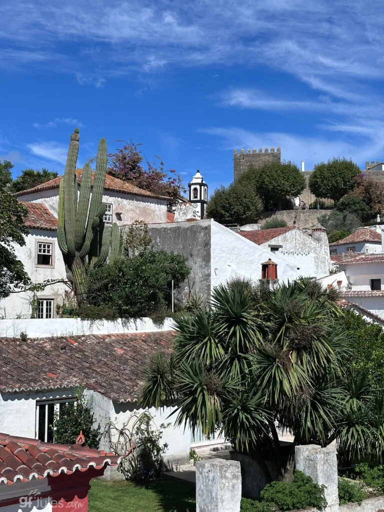 traveling gluten free in Obidos