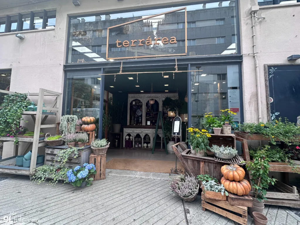 Lisbon gluten free travel – Terrarea