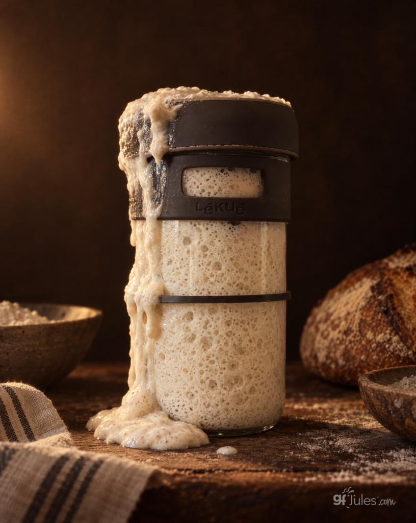 gfjules sourdough starter with bread
